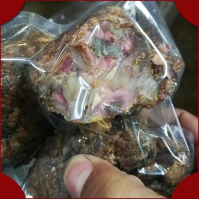 阿魏 新疆臭阿魏 中药材供应 五彩药用 钓鱼诱饵五花阿魏一件代发图4
