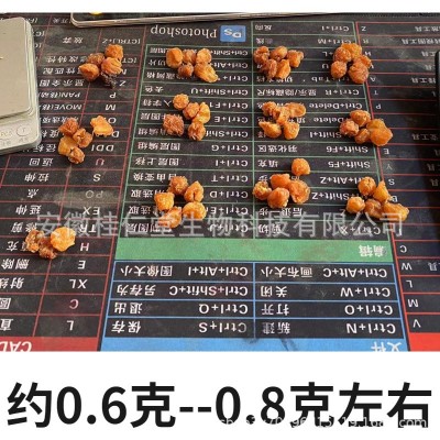 组合茶专用小颗粒桂圆肉0.6-0.7克姜茶组合泡茶养生专用龙眼空心图5