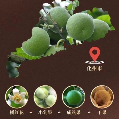 工厂直批20年正宗化州橘红陈年化橘红胎芯果切片化州厂家直发橘红图2