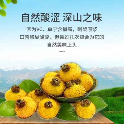 刺梨原浆刺梨原汁饮品维C刺梨果汁原液贵州刺梨鲜果鲜榨厂 家直销图2
