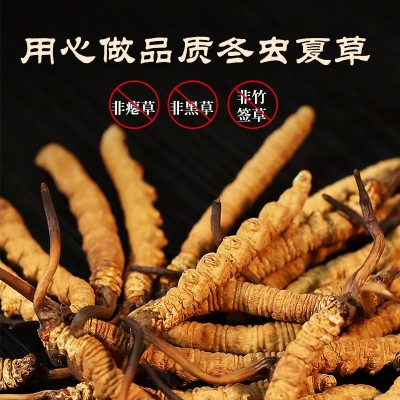 人工种植冬虫夏草现货批发规格全冬虫夏草礼盒装本厂直供顺丰包邮图4