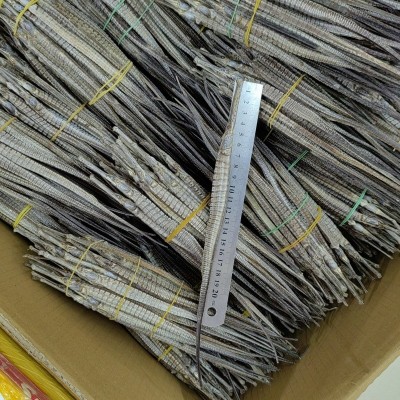 清水六角海龙海产品干货 海龙中药材煲汤泡酒滋补食源 直身无断图2