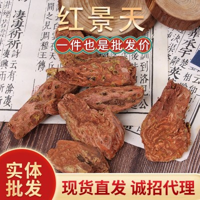 批发红景天 红景天 大花红景天图2