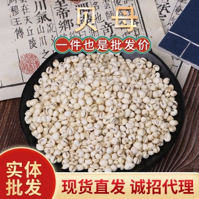贝母中药材批发贝母 川贝母各种规格承接大货量大从优图1