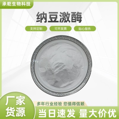纳豆激酶　20000FU/G 纳豆冻干粉 纳豆激酶提取物 纳豆粉图1