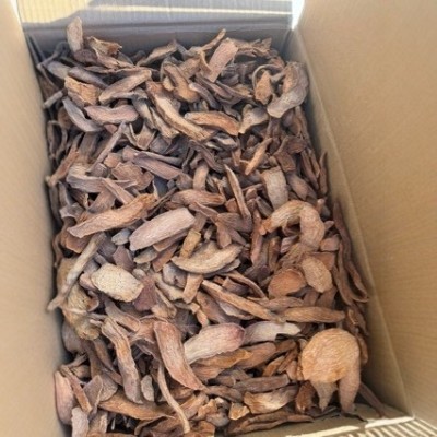 锁阳 去皮锁阳片图4