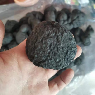 云南山货中药材批发鸡枞蛋雷震子鸡茯苓吊金钟乌苓参乌灵参100克图3