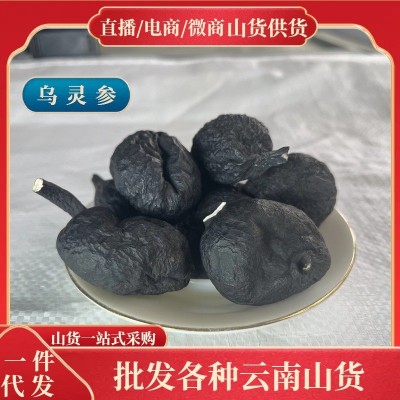 云南山货中药材批发鸡枞蛋雷震子鸡茯苓吊金钟乌苓参乌灵参100克图1