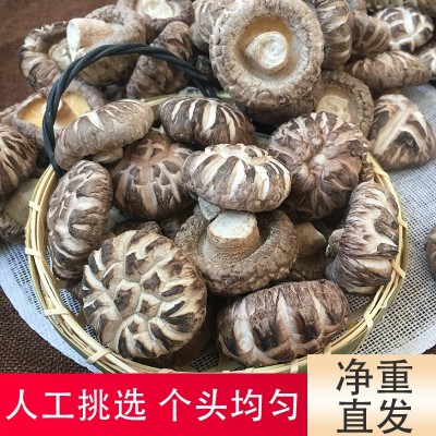 福建古田花菇干货剪脚肉厚新货干花菇土特产农家图1