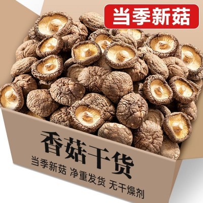 福建古田金钱菇干货营养菌菇农家特产冬菇商用野生菌类香菇图3