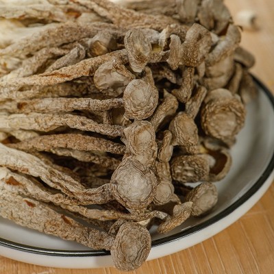 古田特产鹿茸菇干货500G包邮火锅煲汤食用菌农产品鹿茸菇产地直发图3