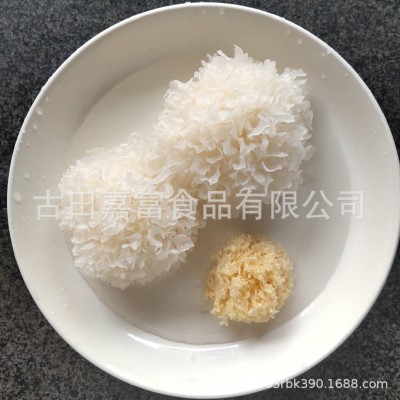 厂家古田农家椴木小银耳 新耳采摘严选白木耳糯耳小银耳500g干货图1