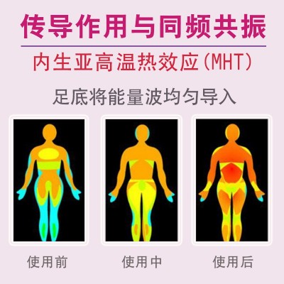 气血温通康养仪太赫兹生物足部热疗仪扶阳内生热减肥仪厂家直销图3