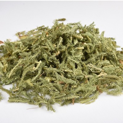 寻千草中草药 伸筋草 舒筋草 新货 色青无杂 诚信品质 质量有保障图2