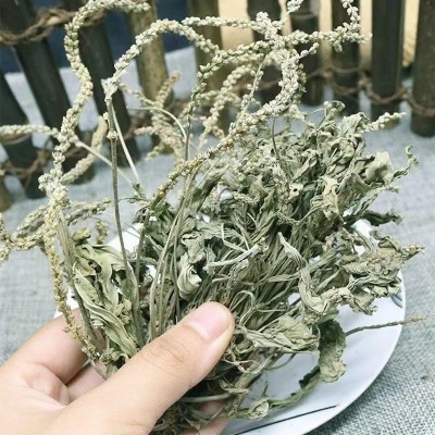 车前草中药材整株整颗车轮草切段车前草当季新货量大从优批发大货图2