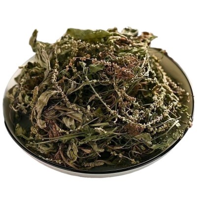 车前草中药材整株整颗车轮草切段车前草当季新货量大从优批发大货图5