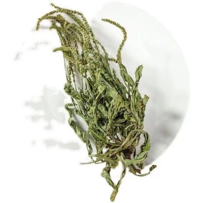 车前草中药材整株整颗车轮草切段车前草当季新货量大从优批发大货图4