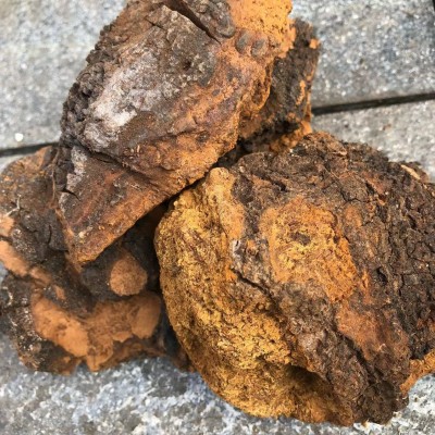 桦褐孔菌 新货 正品实体经营 各种冷背货 货支持一件代发图4