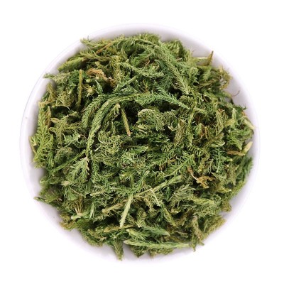 批发伸筋草 舒筋草产地货源伸筋藤大货批发大伸筋量大从优图5