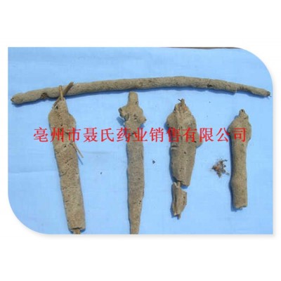 供应紫梢花 紫霄花 紫稍花 散装 干货图4