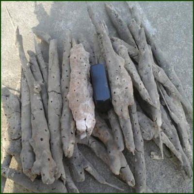 供应紫梢花 紫霄花 紫稍花 散装 干货图2