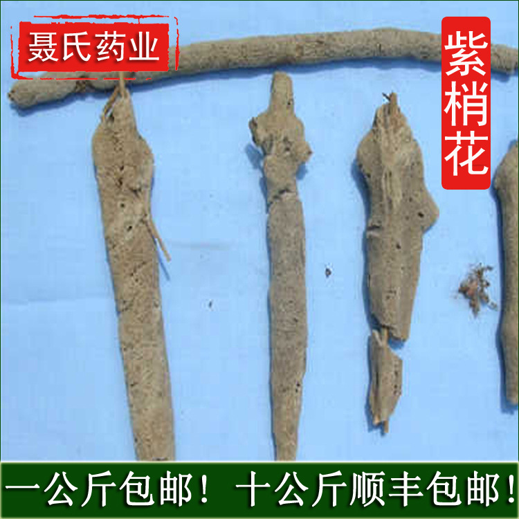 305供应紫梢花 紫霄花