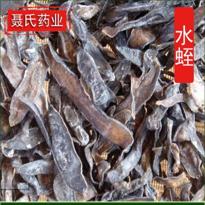 批发中药材 水蛭 水蛭干 清水吊干货 蚂蟥图3