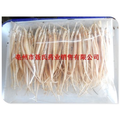 中药材批发 海龙 干货 散装海龙干 规格齐全 量大优惠图3