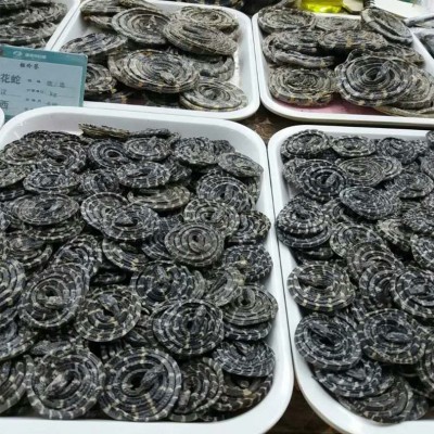 白花蛇中药材正品金钱白花蛇批发白花蛇优质大白花蛇小白花蛇包邮图4
