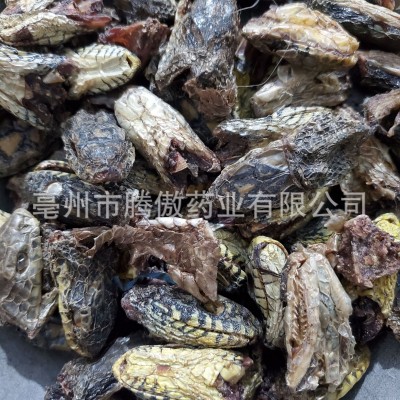 蛇头干中药材乌梢蛇头干眼镜蛇头蕲蛇头滋补泡酒大蛇头干图4