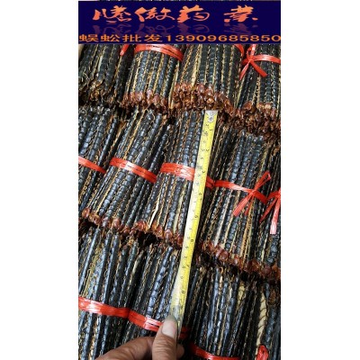 蜈蚣干广西湖北蜈蚣中药材蜈蚣11厘米大蜈蚣15厘直销批发 包邮图5