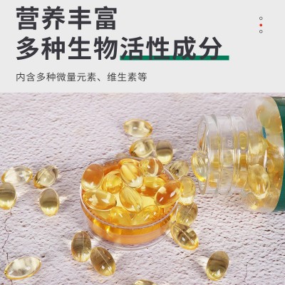 松针油软胶囊食用松针油提取物松针油凝胶糖果批发60粒装源头厂家图3
