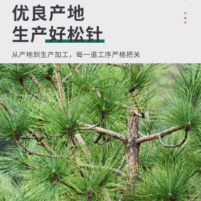 松针油软胶囊食用松针油提取物松针油凝胶糖果批发60粒装源头厂家图4