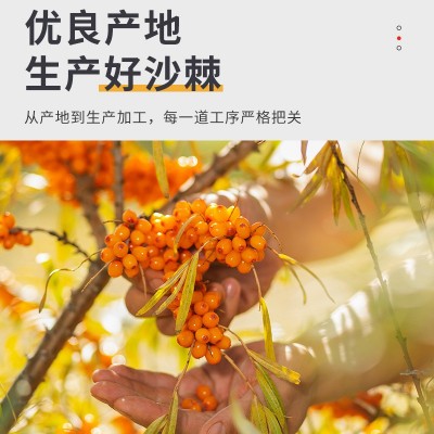 感喻慷沙棘果油软胶囊60粒超临界萃取源头厂家大量现货批发代发图4