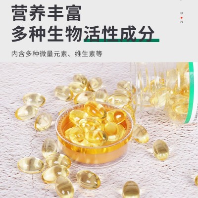 神经酸元宝枫籽油软胶囊食用枫籽油提取物60粒装现货供应 源头厂家图3