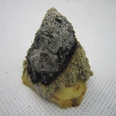 野生三年陈正品艾绒特级艾叶艾草艾灸馆美容院家用石磨艾条绒图4
