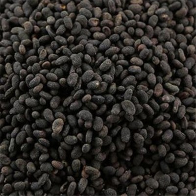 批发中药材 补骨脂 优质补骨脂 散装500g 现货供应 量大价优图3
