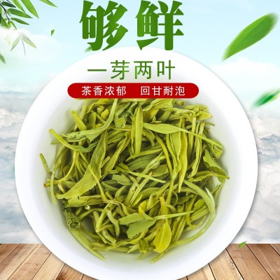 绿茶2021新茶叶浓香型明前四川青城雪芽高山云雾散装毛尖52g图3