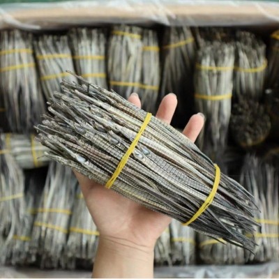 六角海龙干货批发 中药材泡酒料刁海马龙清平滋补干货批发招代理图4