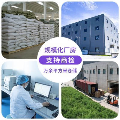 朝鲜蓟花 洋蓟 球蓟 法国百合大货批发食品原料多种规格供应图4