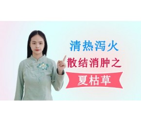农村常见的夏枯草，是清泻肝火的良药，还可以明目、散结，疗效佳
