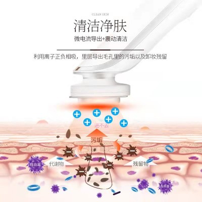 美容仪器家用脸部按摩精华导入仪器清洁毛孔导出洁面仪女543图3