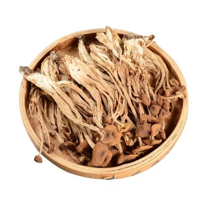 厂家批发不开伞茶树菇干货散装5斤福建特产菌菇食用菌食材干冰菇图3