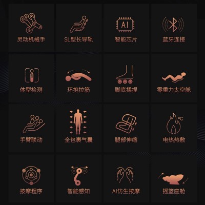 跨境豪华按摩椅礼品出口SL导轨批发商用家用多功能零重力太空舱图2