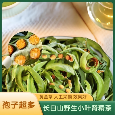 长白山黄金草选货肾精茶泡水喝化石草中药材养生茶今年新货足干货图2