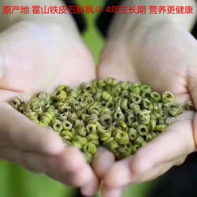 霍山铁皮石斛原种铁皮石斛精美礼盒装 逢年过节送礼铁皮石斛图3