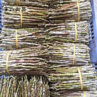 原产地直发霍山铁皮石斛鲜条 现采现发散装500g营养新鲜铁皮石斛图4