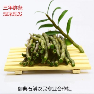 原产地直发霍山铁皮石斛鲜条 现采现发散装500g营养新鲜铁皮石斛图5