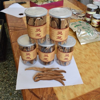 现货供应各种灵芝切片 农户自产自销灵芝片图5