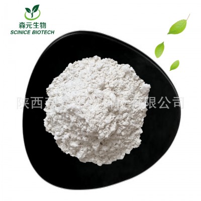白芸豆提取物 白芸豆咀嚼片原料6万U/g a-淀粉酶活性蛋白图4